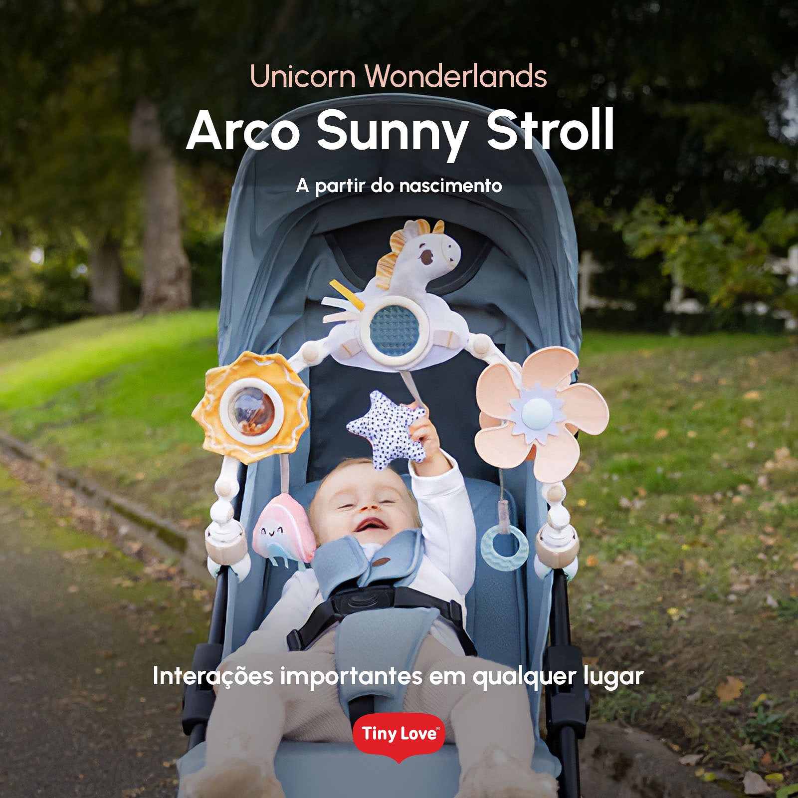 Wonderlands Collection - IMP02688