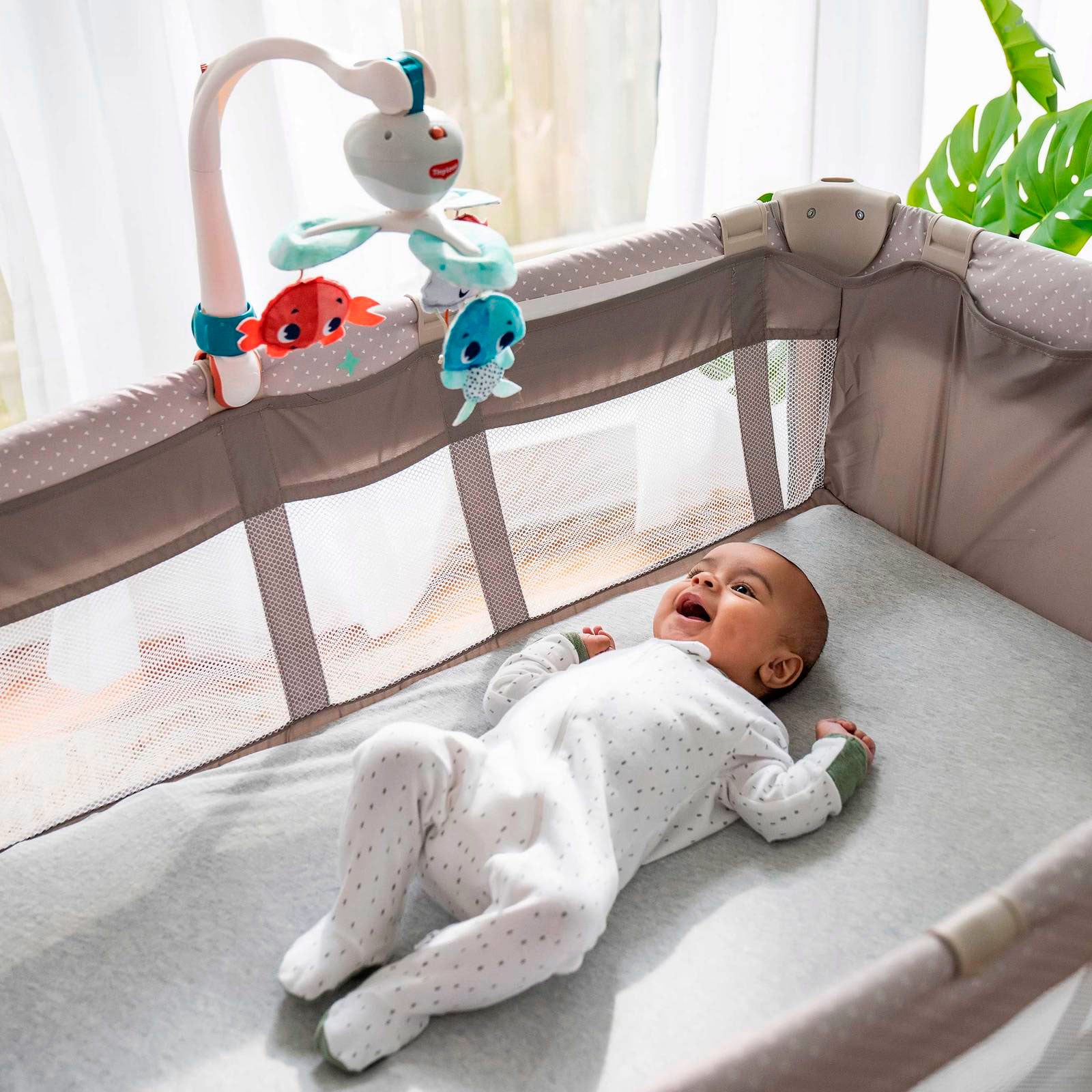 Treasure the Ocean - IMP02263