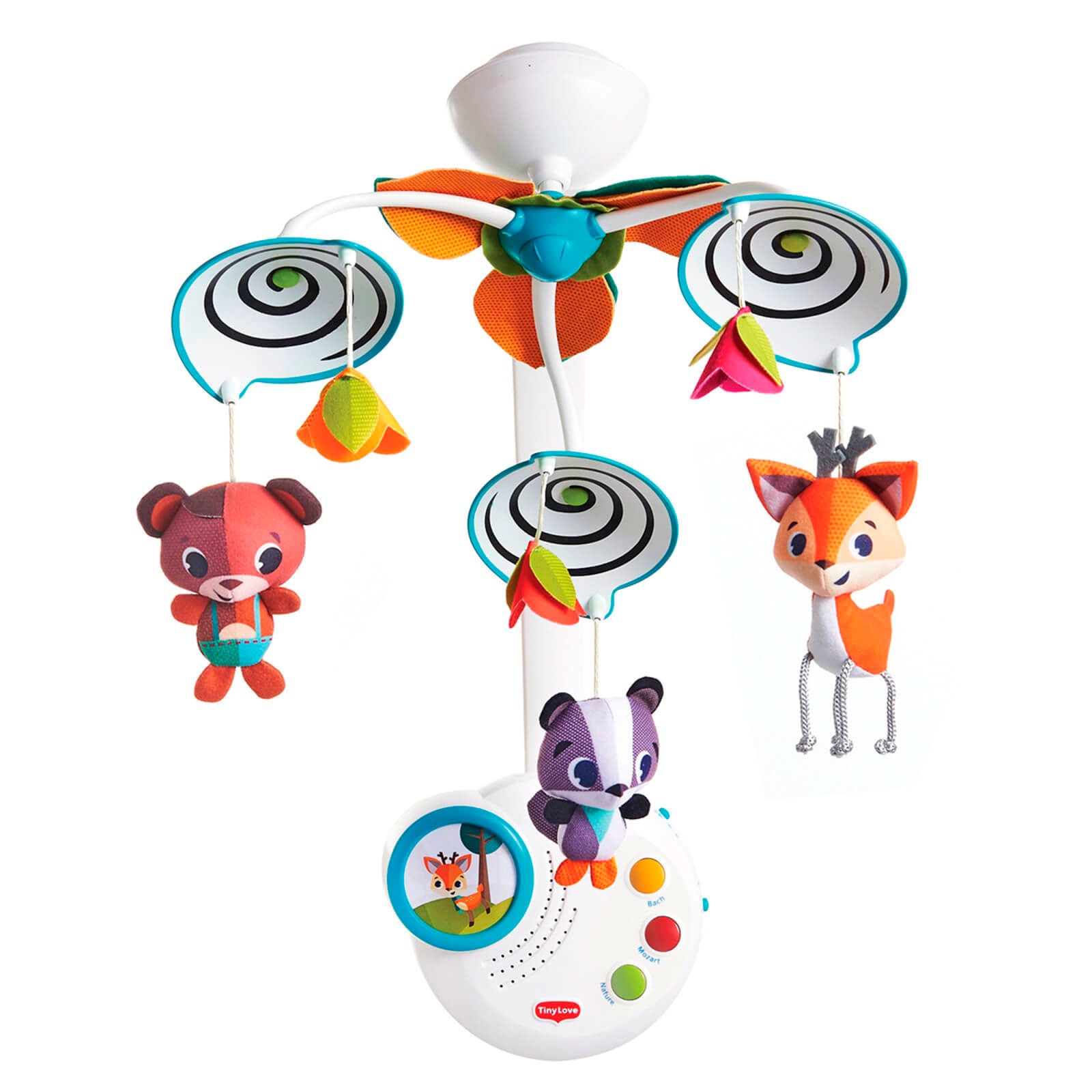 Into The Forest - IMP01596