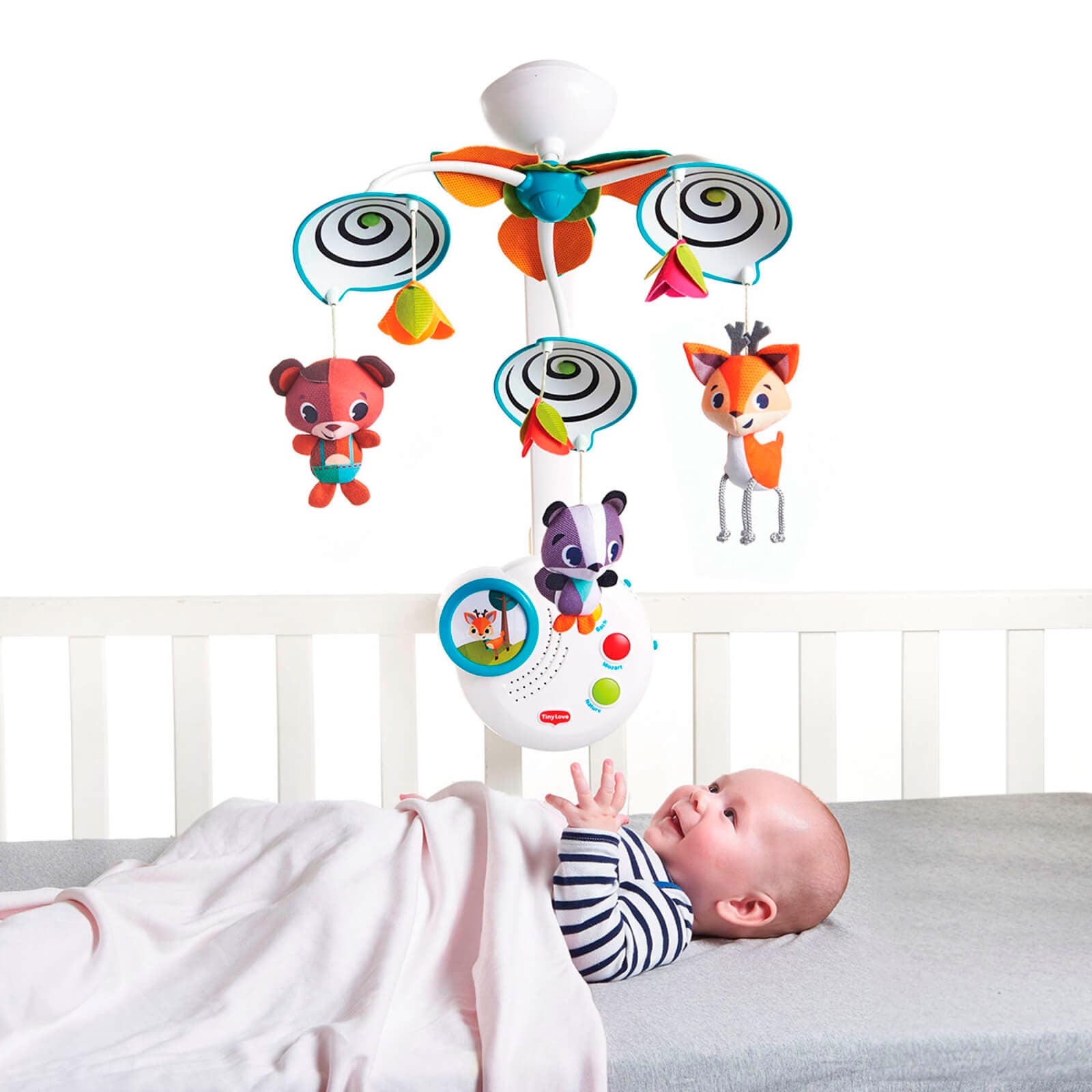 Into The Forest - IMP01596