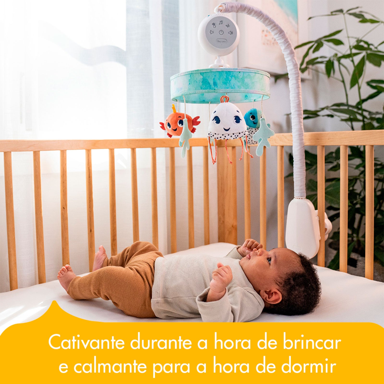 Treasure the Ocean - IMP02278