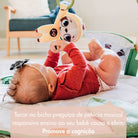 Boho Chic - IMP02265