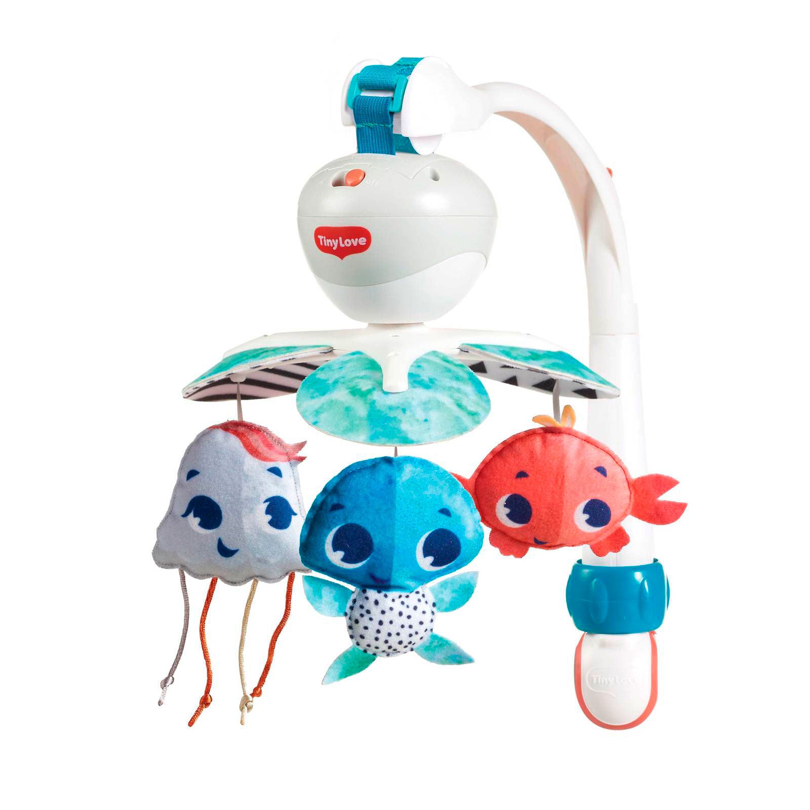 Treasure the Ocean - IMP02263