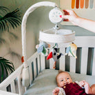 Boho Chic - IMP02266