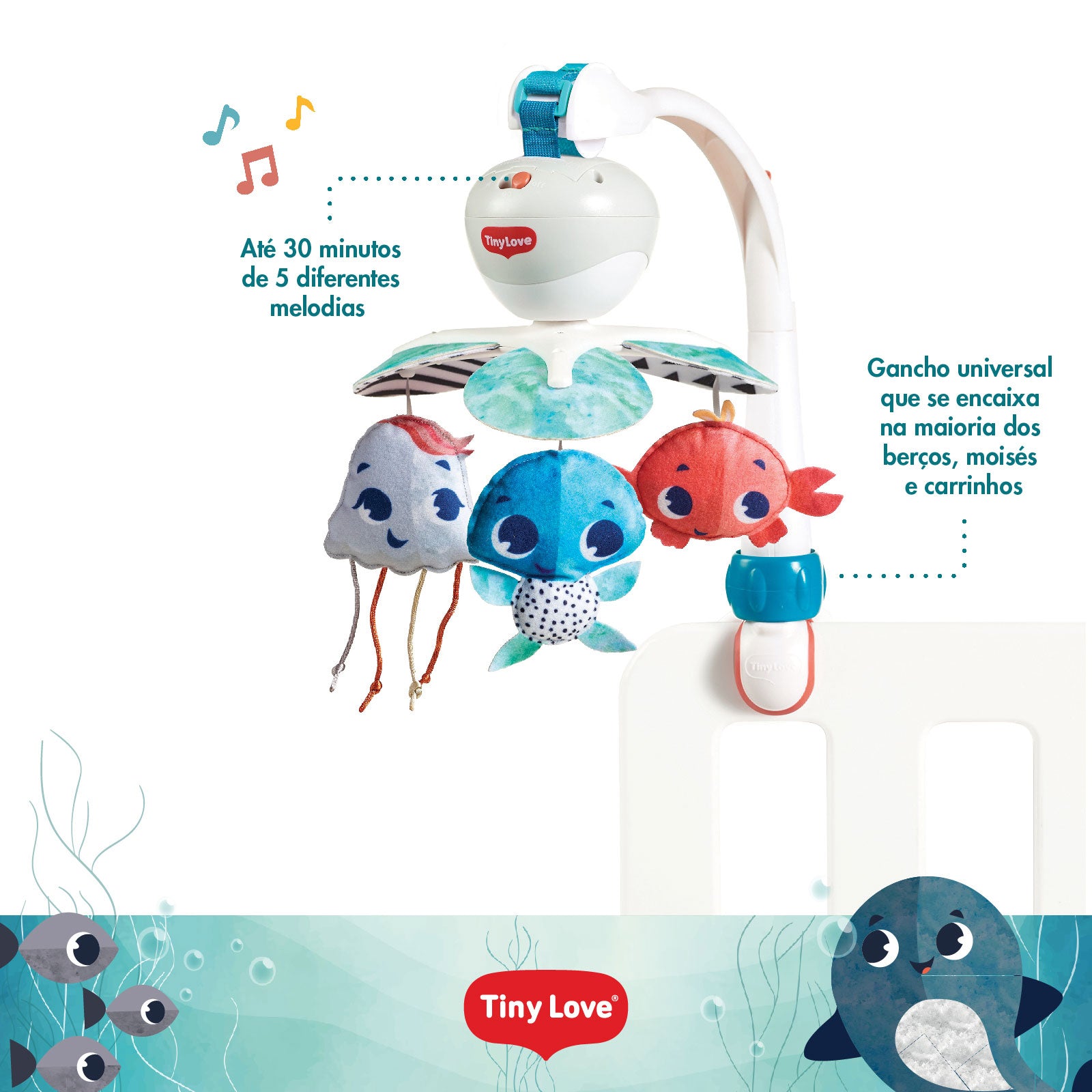 Treasure the Ocean - IMP02263