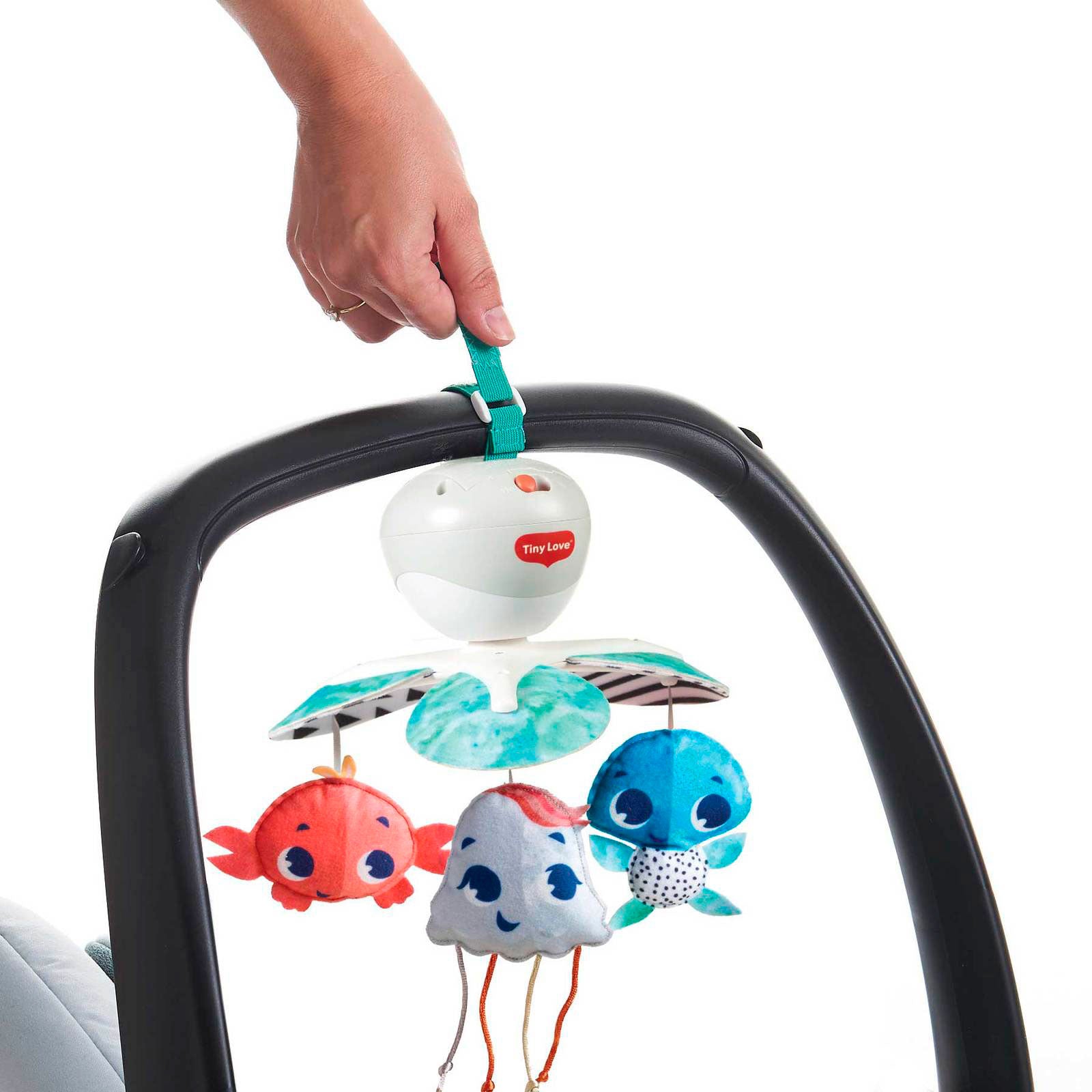 Treasure the Ocean - IMP02263