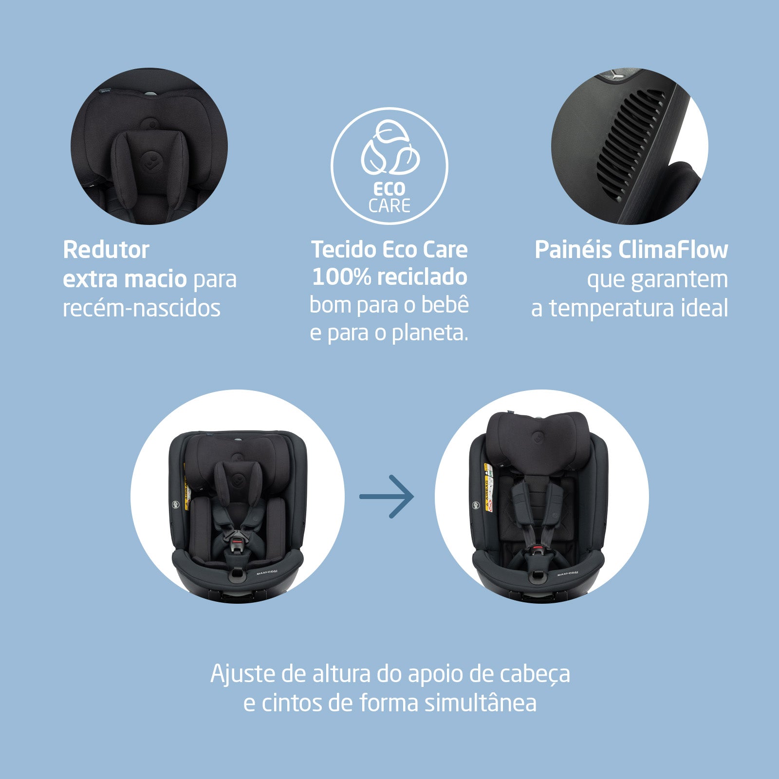 Authentic Black - IMP02497