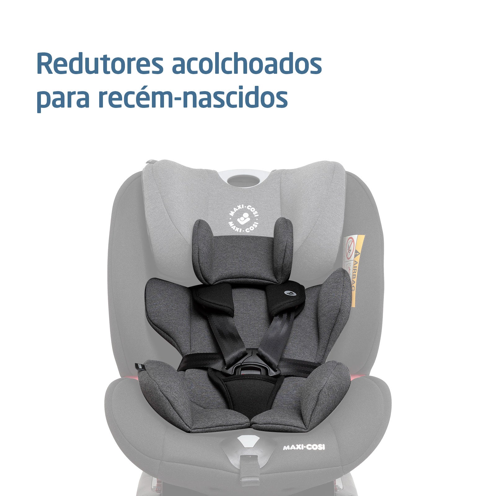 Authentic Black - IMP01982