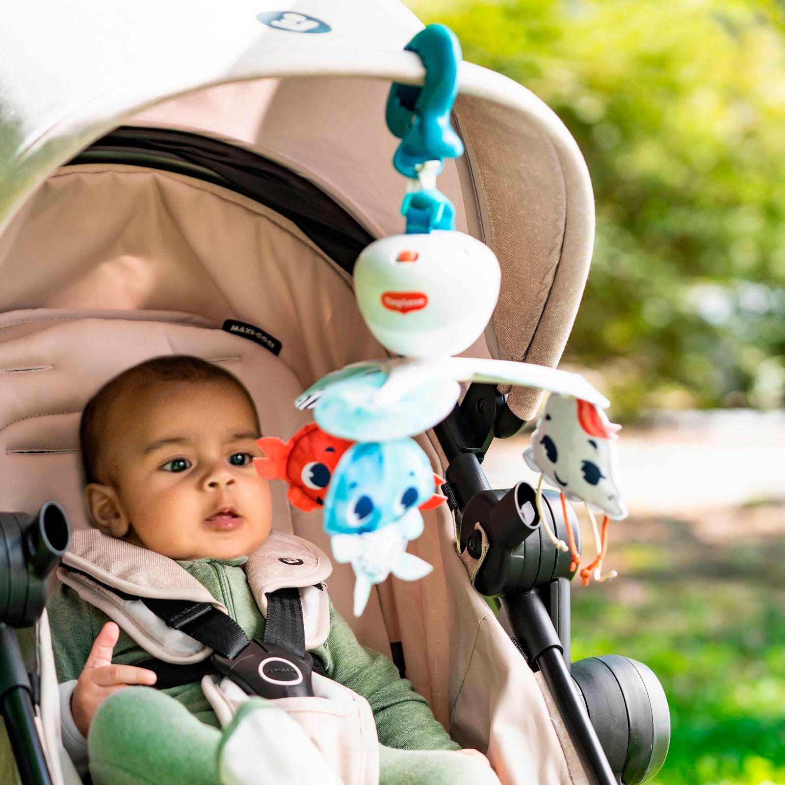 Treasure the Ocean - IMP02263