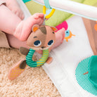 Into The Forest - IMP01564