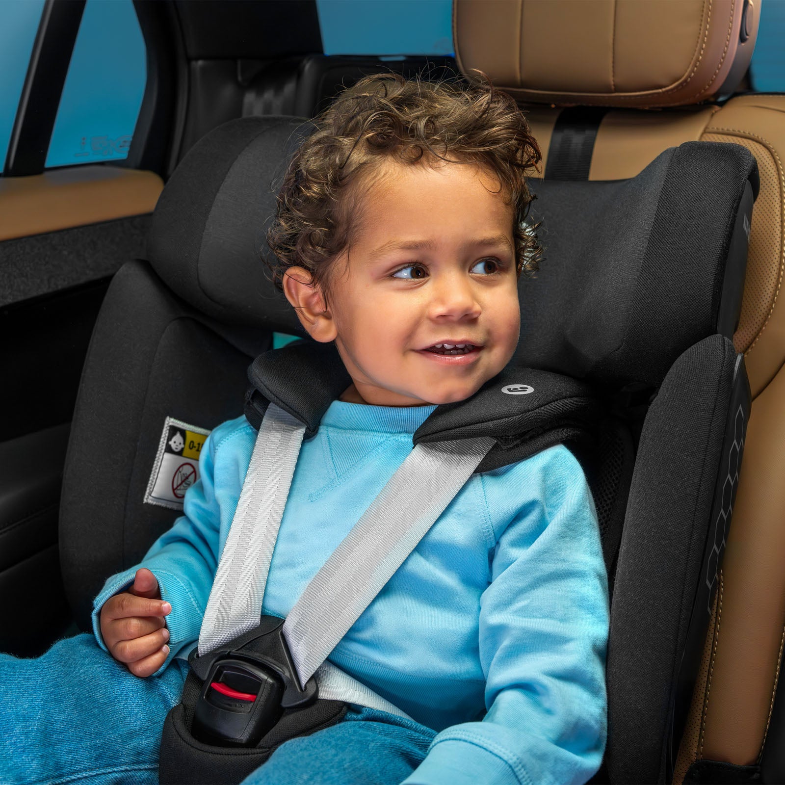 Authentic Black - IMP02710