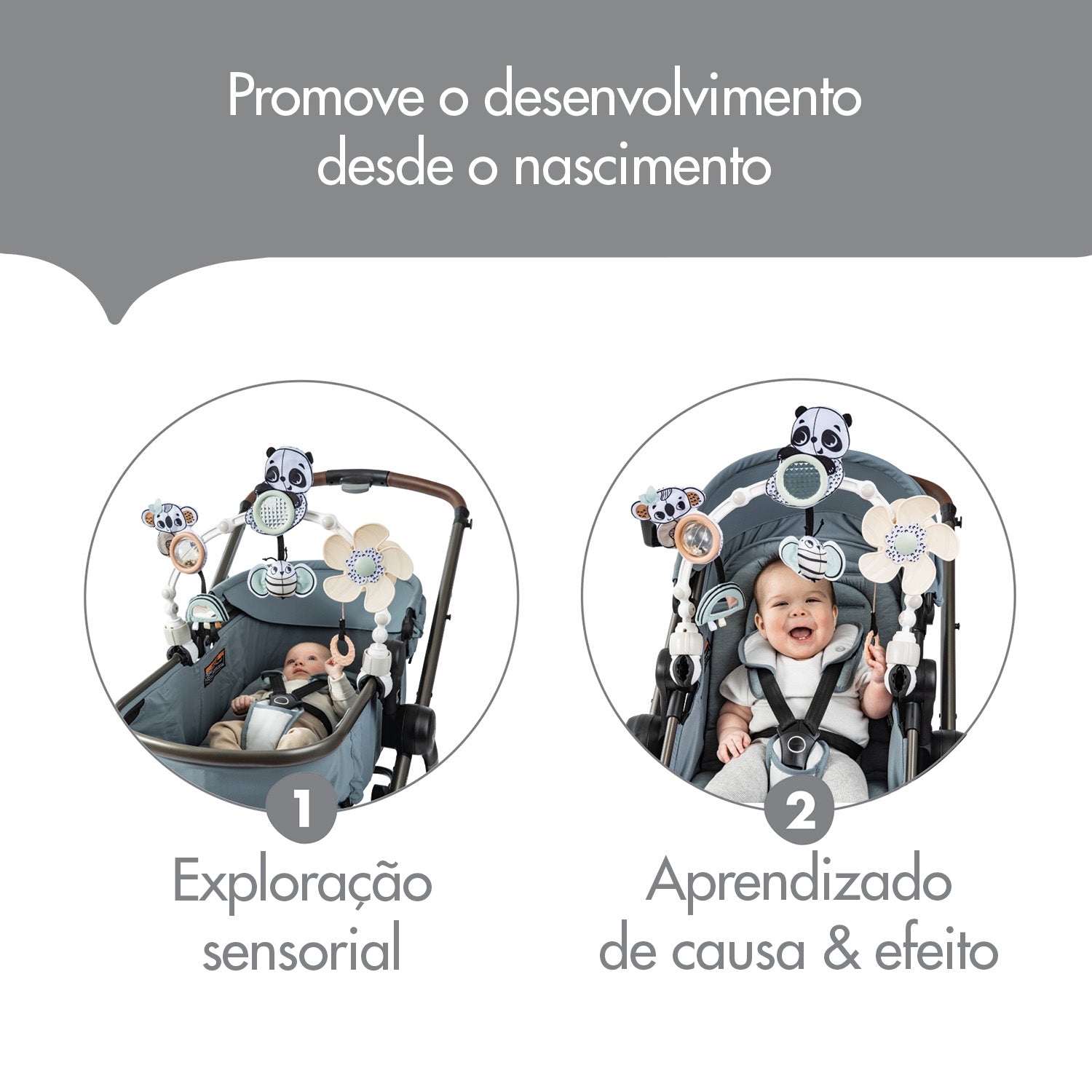 Black & White Decor - IMP02482