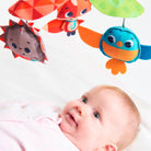 Meadow Days - IMP01586