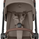 Twillic Truffle - IMP02656