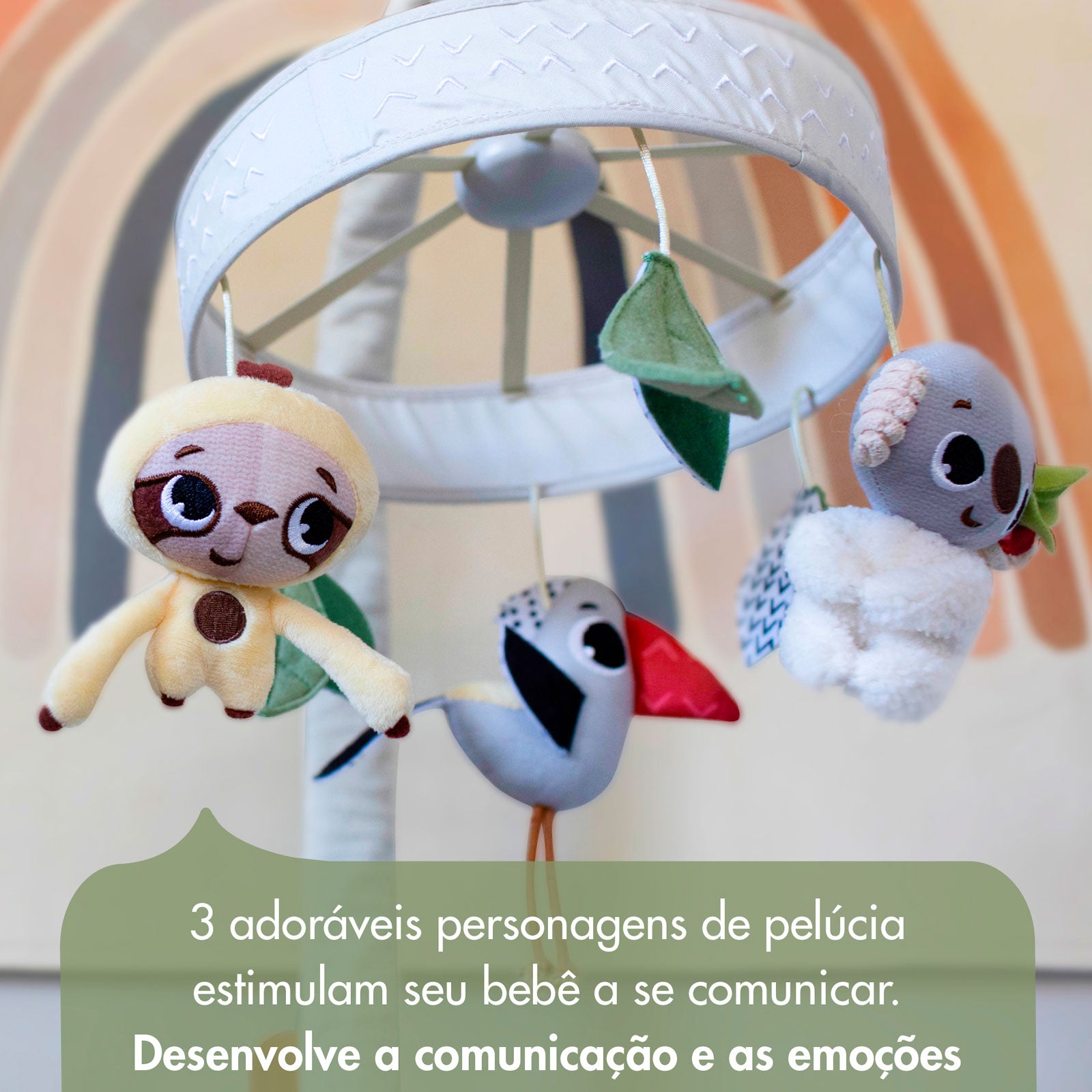 Boho Chic - IMP02266