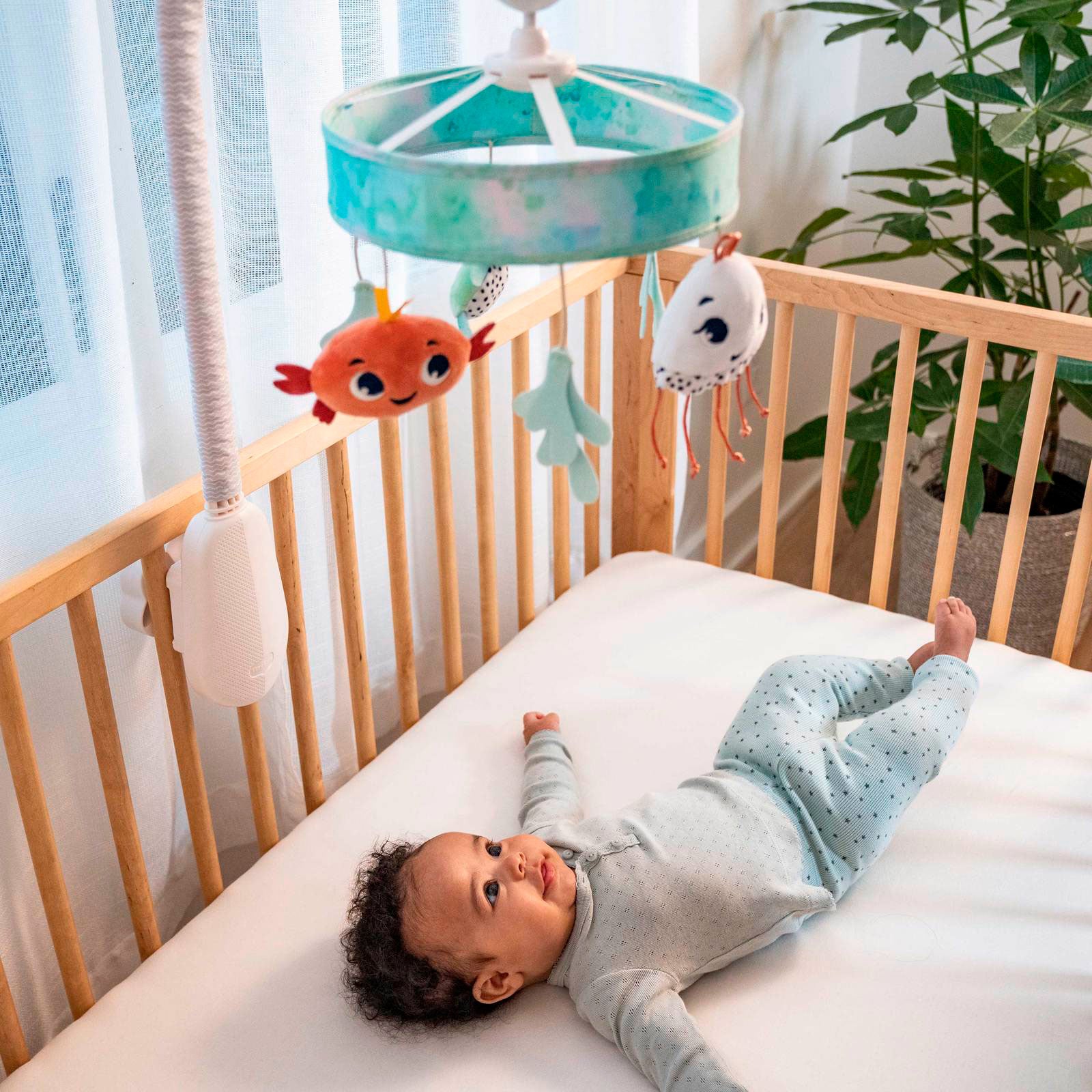 Treasure the Ocean - IMP02278