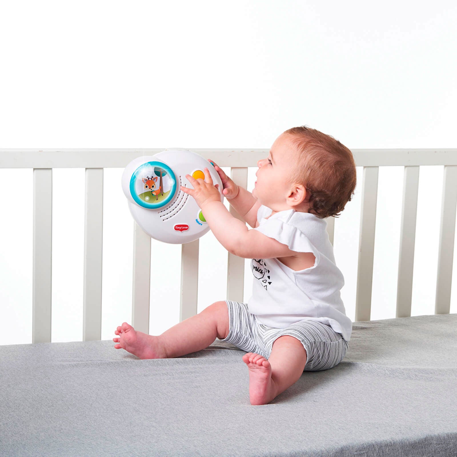 Into The Forest - IMP01596