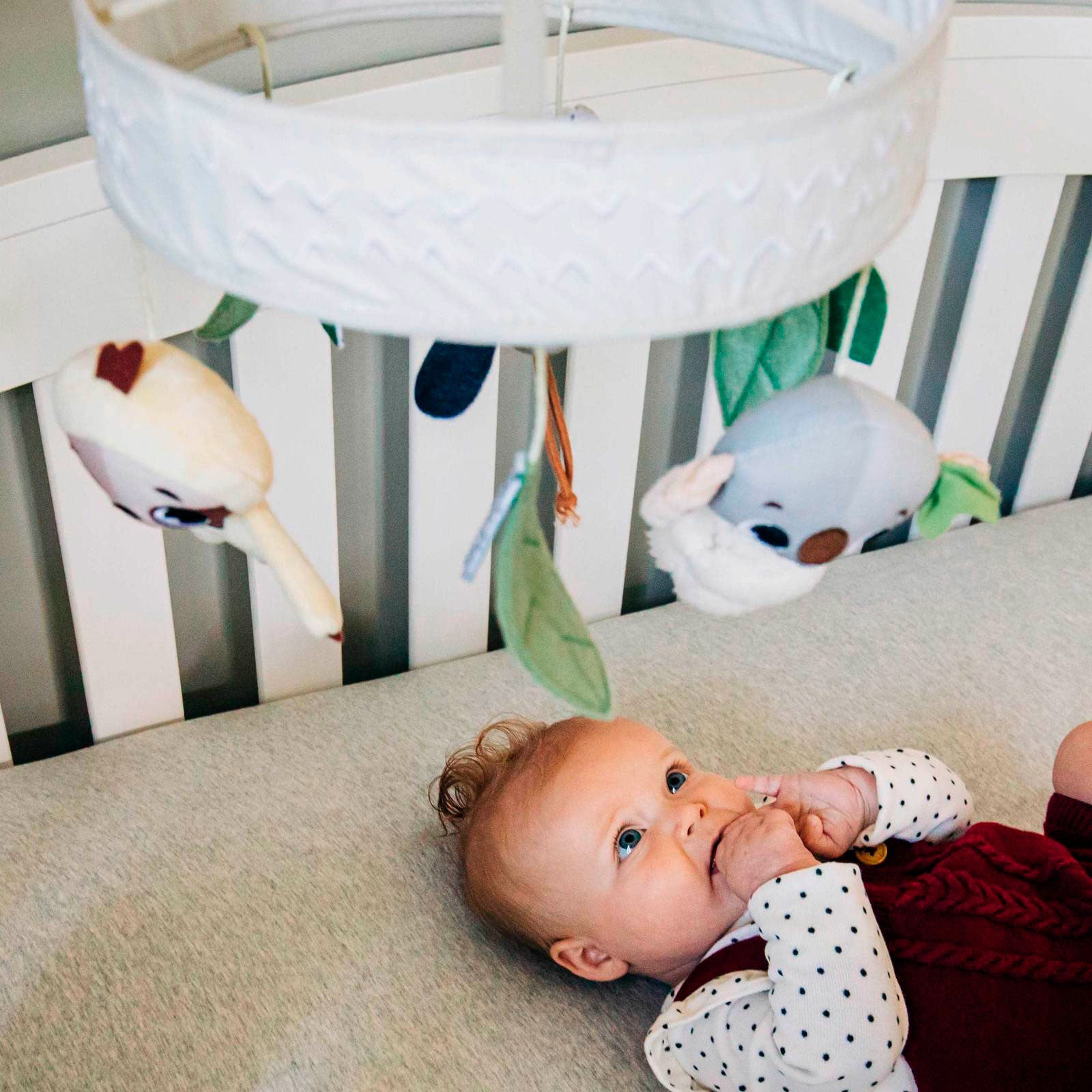 Boho Chic - IMP02266