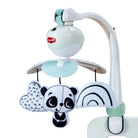 Black & White Decor - IMP02481