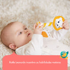 Meadow Days - IMP02398