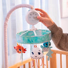 Treasure the Ocean - IMP02278