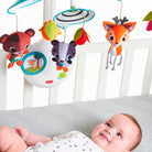 Into The Forest - IMP01596