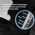 Authentic Black - IMP02655