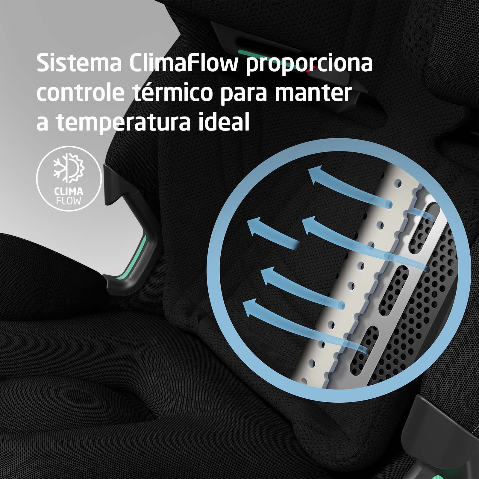 Authentic Black - IMP02655