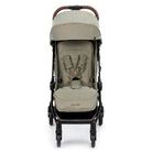 Twillic Truffle - CAX00897