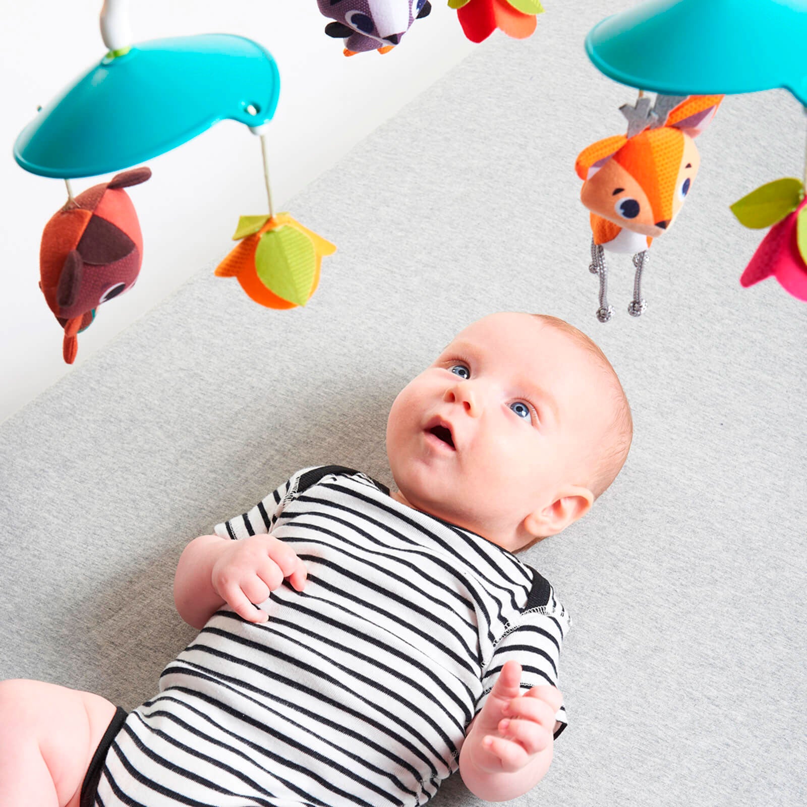 Into The Forest - IMP01596