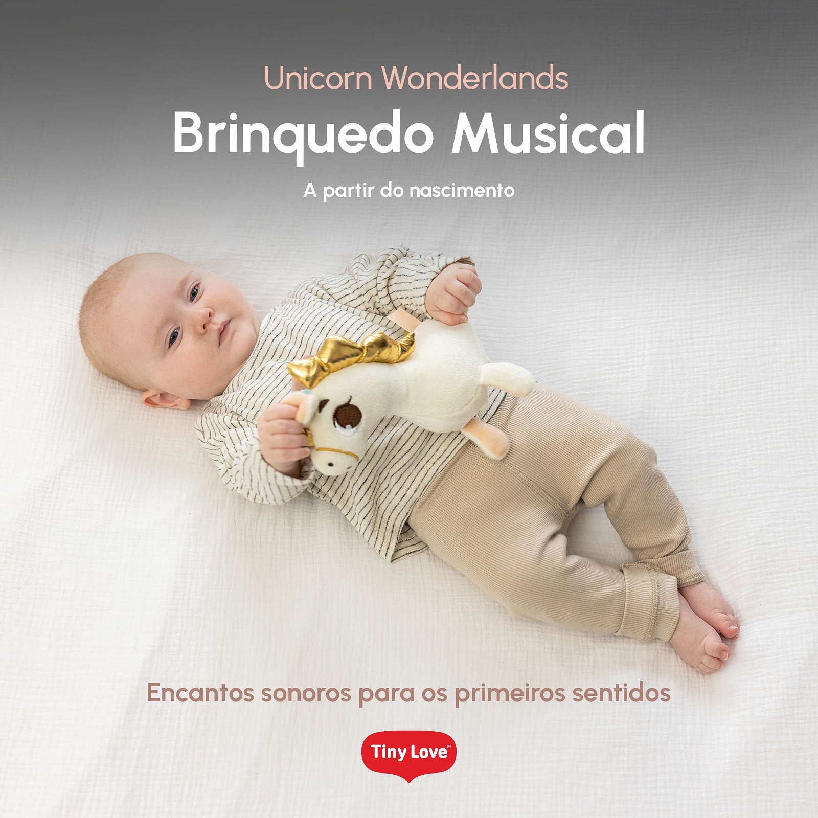 Wonderlands Collection - IMP02690
