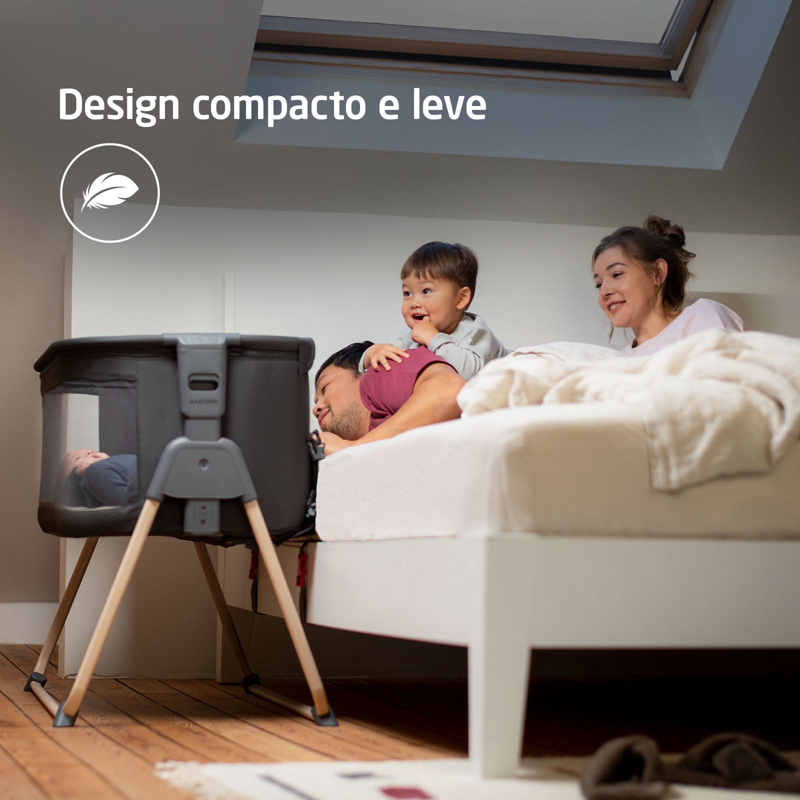 Beyond Graphite - IMP02636