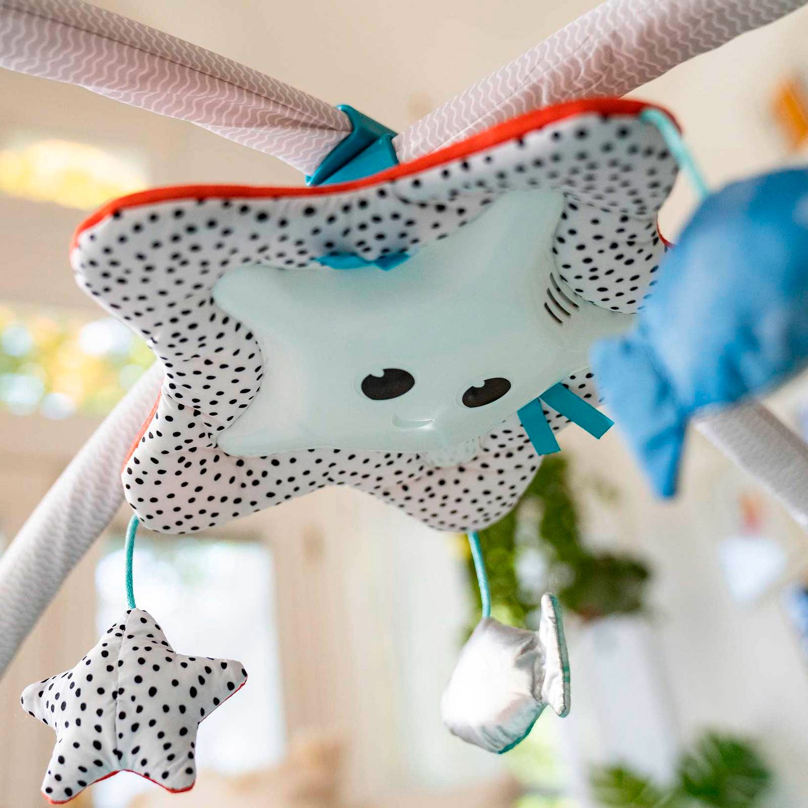 Treasure the Ocean - IMP02345