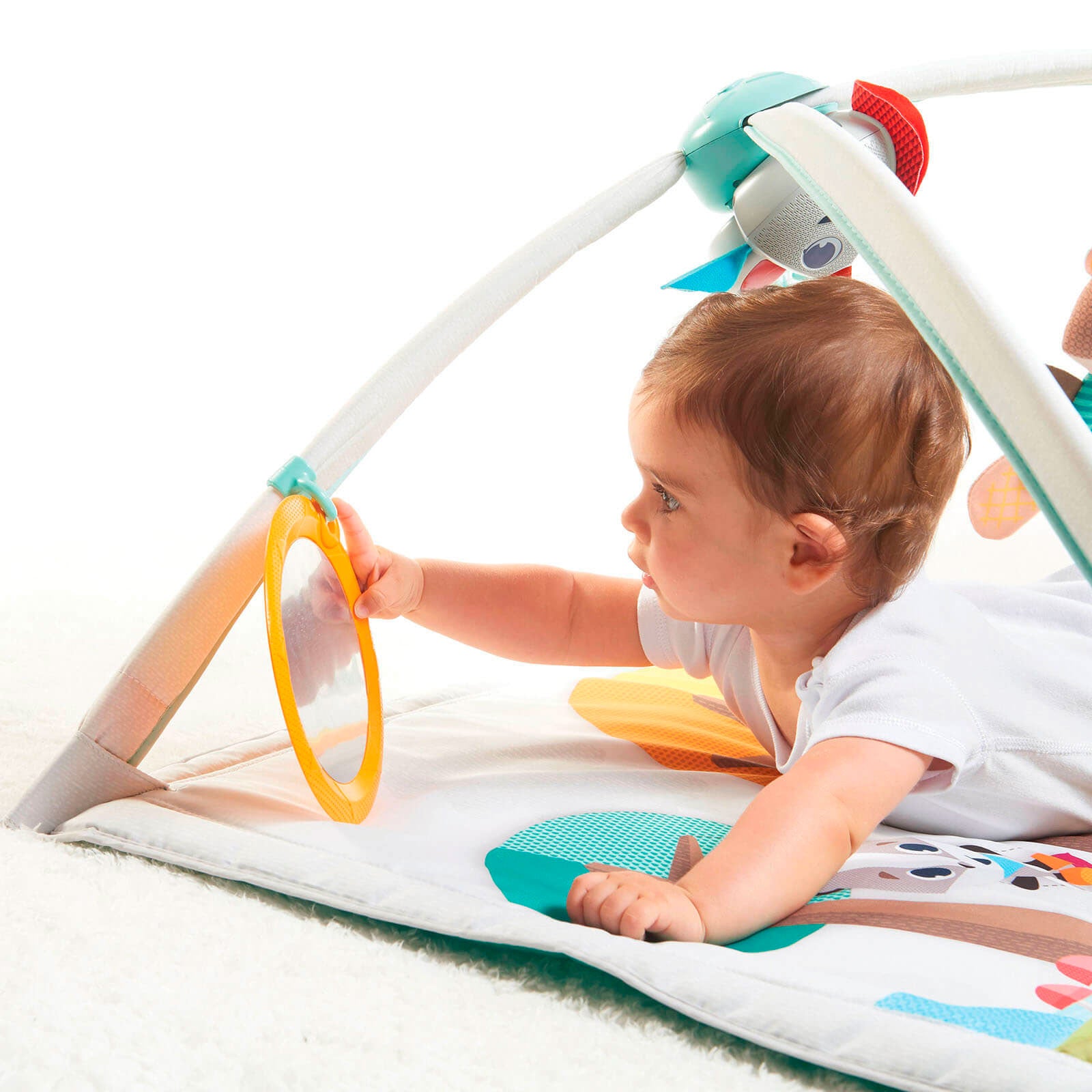 Into The Forest - IMP01564