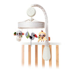 Boho Chic - IMP02266