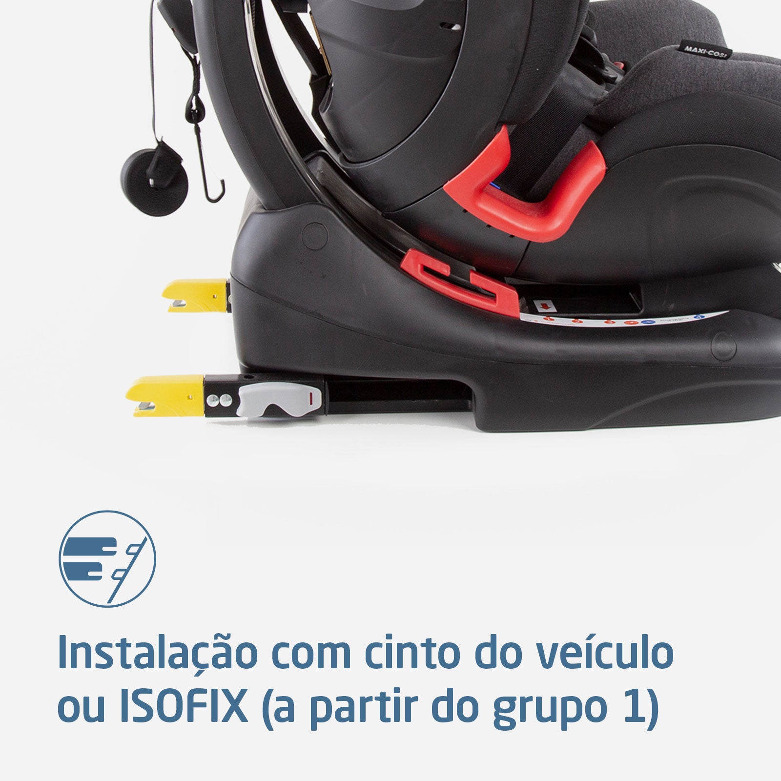 Authentic Black - IMP01982