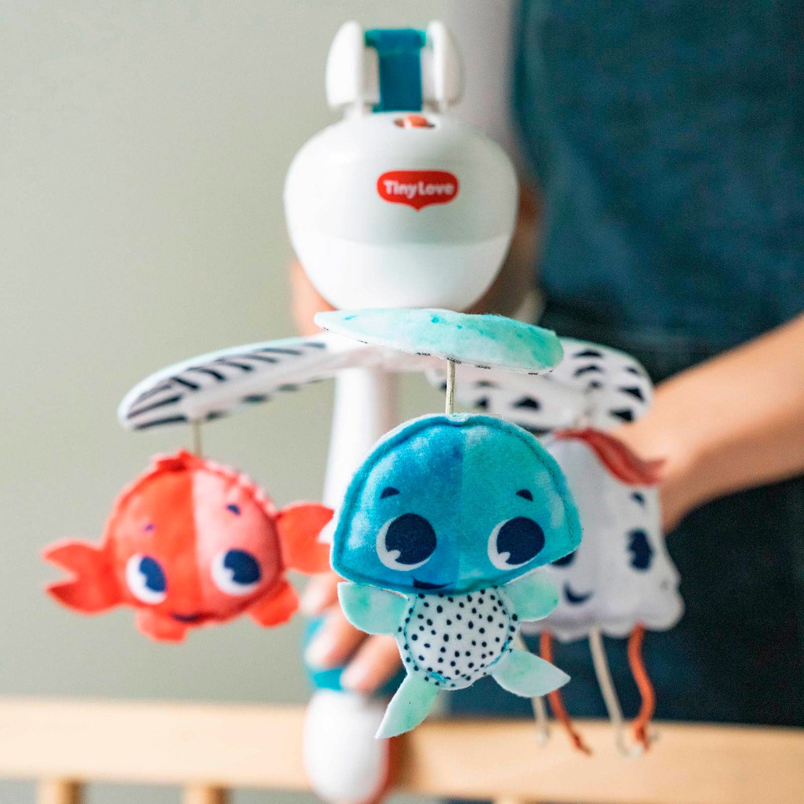 Treasure the Ocean - IMP02263