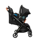 Essential Black - IMP01881