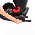 Authentic Black - IMP02168