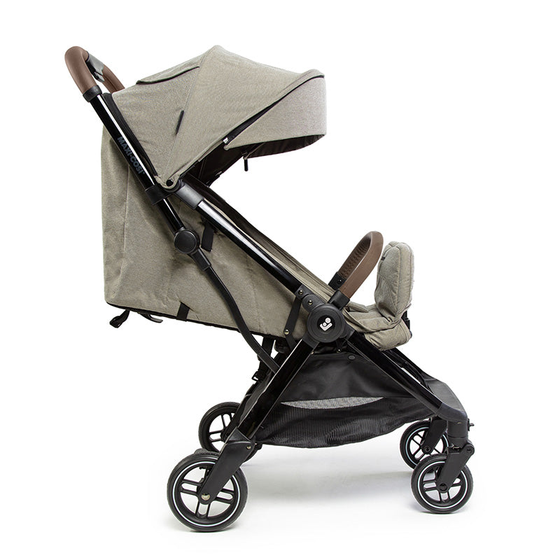 Twillic Truffle - CAX01067