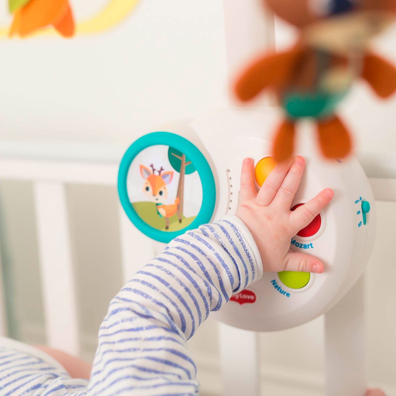 Into The Forest - IMP01596