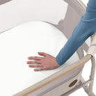 Classic Oat - IMP02485