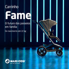 Twillic Graphite - IMP02641