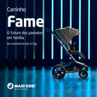 Carrinho Fame Twillic Graphite - IMP02641