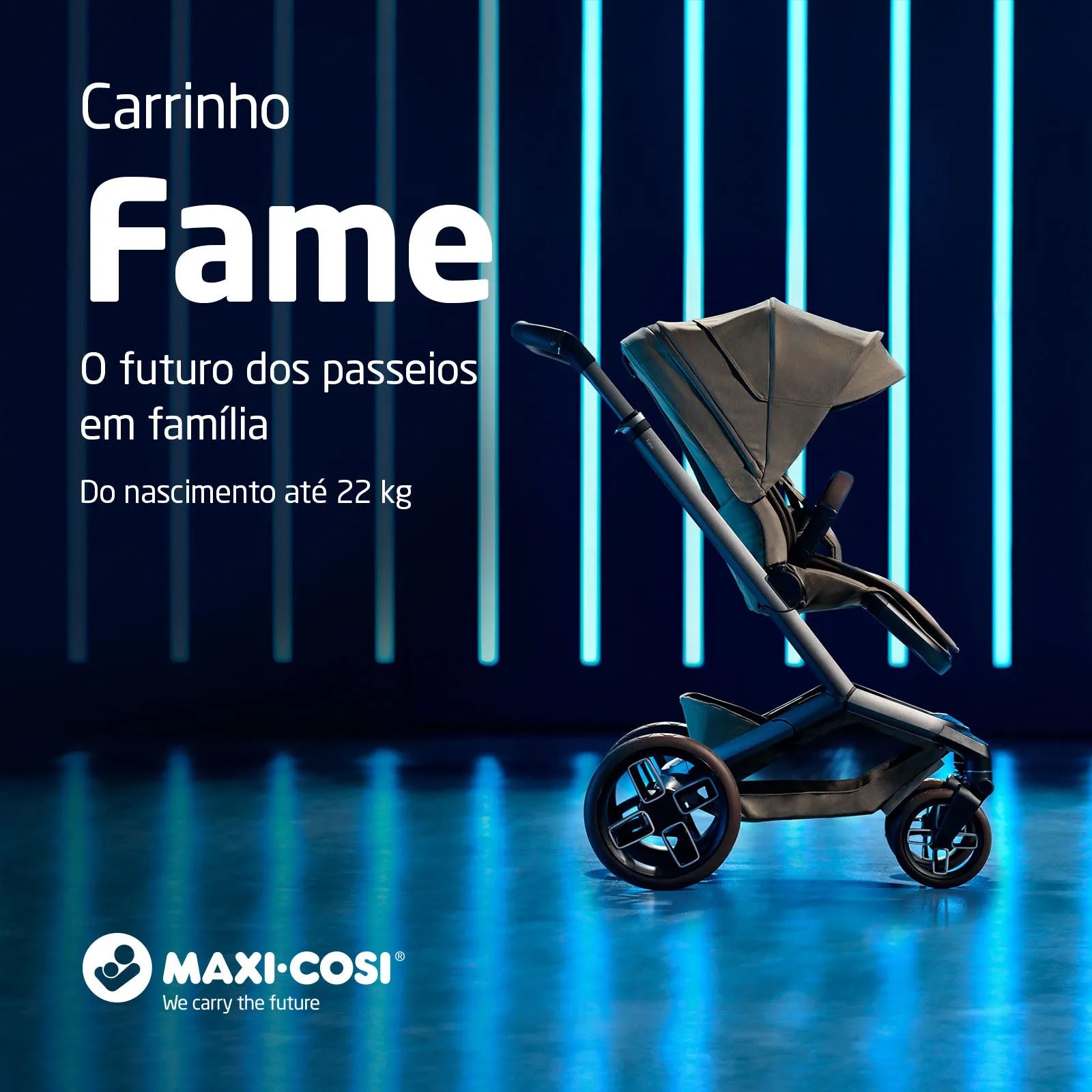 Carrinho Fame Twillic Graphite - IMP02641