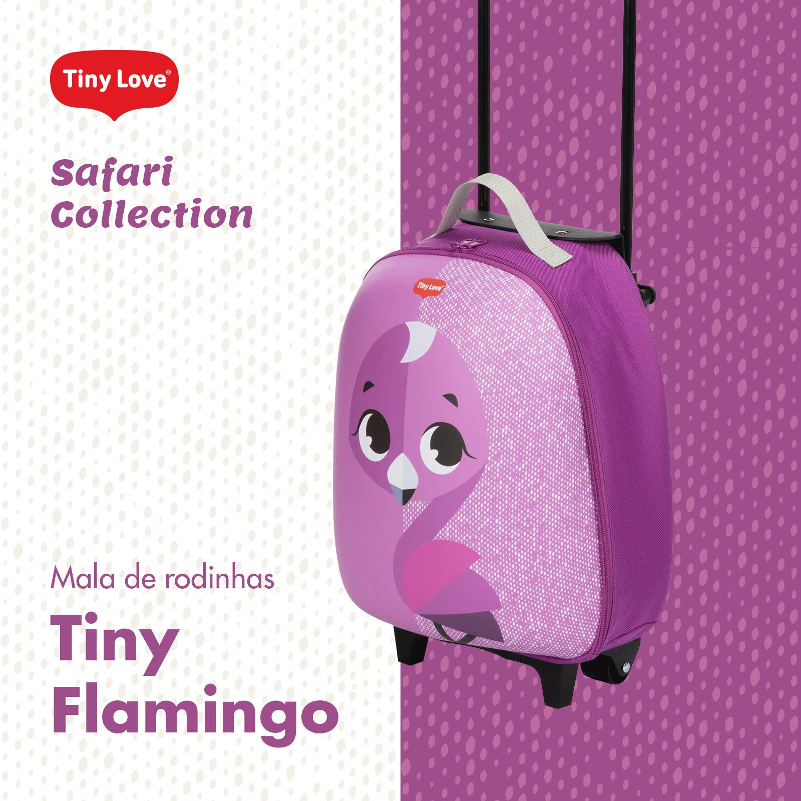 Safari Flamingo - IMP02560