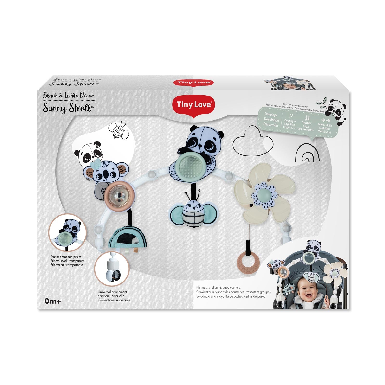 Black & White Decor - IMP02482