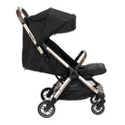Essential Black Champagne - CAX01069