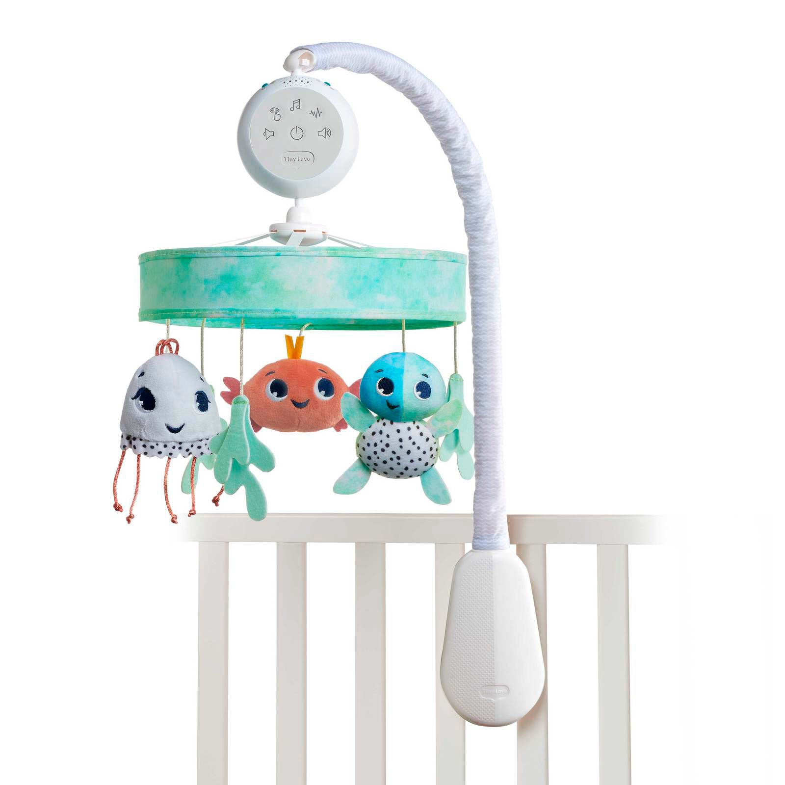 Treasure the Ocean - IMP02278