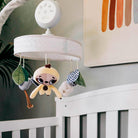 Boho Chic - IMP02266